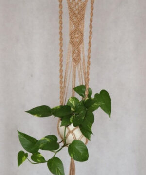 kwietnik ze sznurka na ścianę z kwiatem